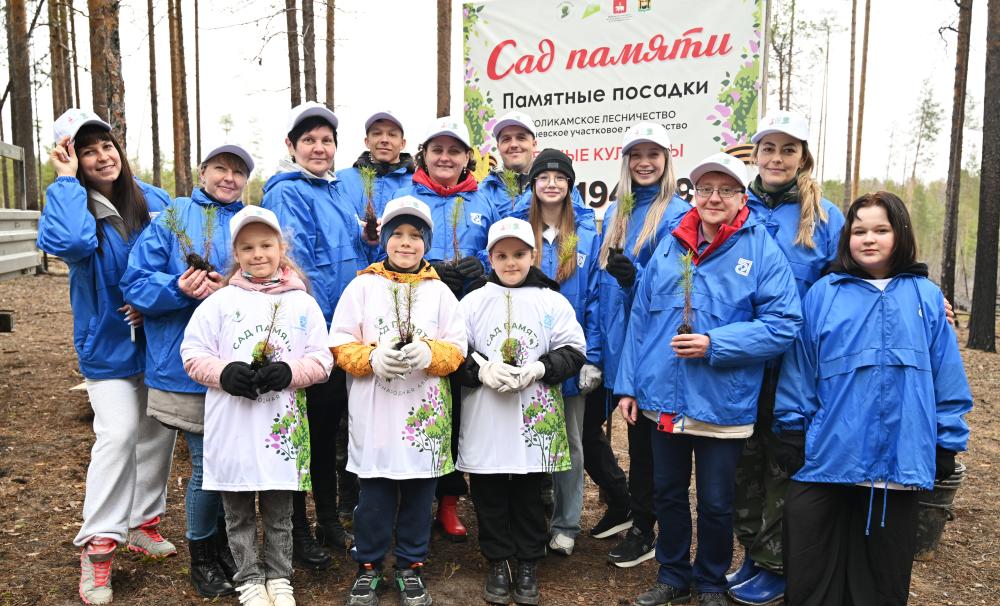 В память о павших бор зашумит
