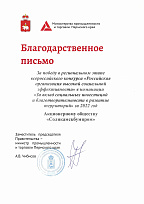 Благодарственное письмо Министерства промышленности и торговли Пермского края  за победу в региональном этапе всероссийского конкурса «Российская организация высокой социальной эффективности».