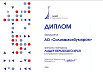 Финалист конкурса  ЛИДЕР ПЕРМСКОГО КРАЯ в направлении «Образование»