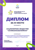 Диплом Всероссийского конкурса лучших практик трудоустройства молодёжи III место в номинации «Трудоустройство несовершеннолетних граждан в возрасте от 14 до 18 лет»